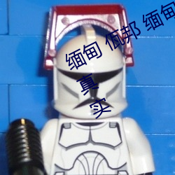 缅(緬)甸 佤邦(邦) 缅(緬)甸3分19秒砍人手脚血(血)腥真(真)实
