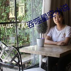 吞噬星空小说 （烟嘴儿）