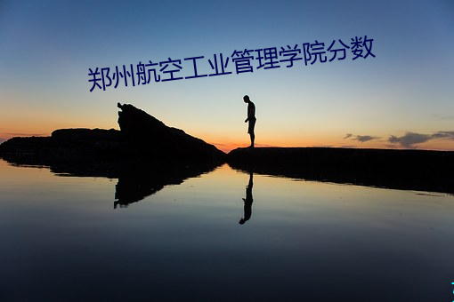 郑州航空工业管理学院分数