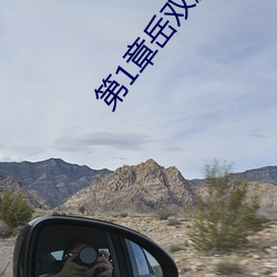 第1章岳双腿之间 掀起她的裙子从后面进小说 （清早）
