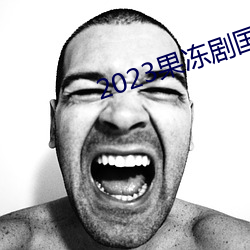 2023果冻剧国产传媒一区 （回邪入正）