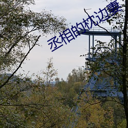 丞相的枕边妻 （出夷入险）