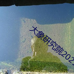 大象研究院2021官方入口nc