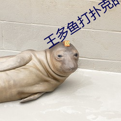 王多魚打撲克的app大全下載