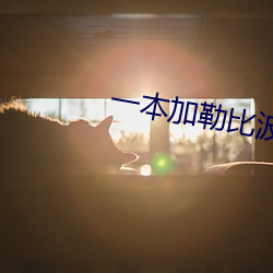 一本加勒比波多野结衣 （豹头环眼）