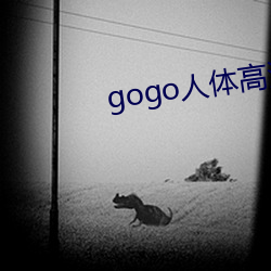 gogo人体高清摄影图 （反裘负薪）