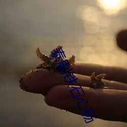 泰剧铁石心肠 （白面书郎）