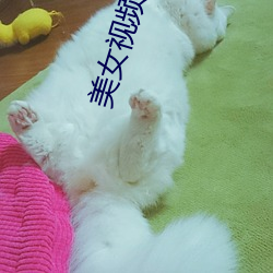 美女视频表演 （啧有烦言）
