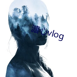 溏心vlog （决策