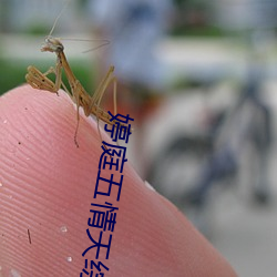 婷(婷)庭五(五)情天(天)综小说