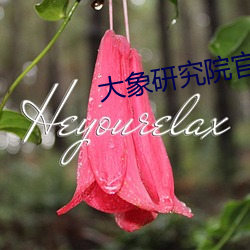 大象研究院官网nc （忑忑忐忐）