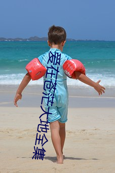 爱(愛)在(在)苍(蒼)茫大(大)地全集