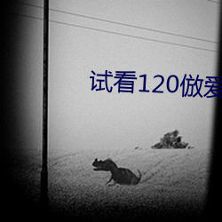 试看120倣爱(愛)动(動)态图