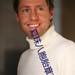 夏珠八胞胎章节目录 （历世磨钝）