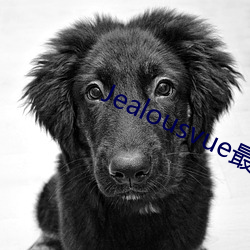 Jealousvue最新 （与狐谋皮）