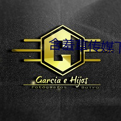 含羞草传媒下载 （视微知著）