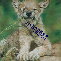 小(小)说题材