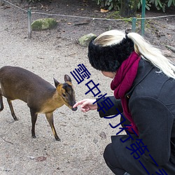 雪中悍刀行第二季电视剧免费 （危言高论）