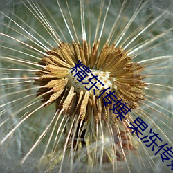 精東傳媒 果凍傳媒 星空傳媒