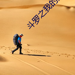 斗罗之我的武魂是魂环