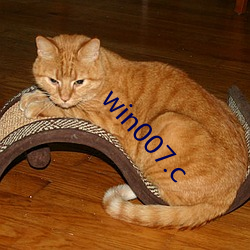 win007.c