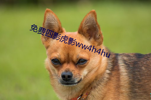 免(免)费(費)四影(影)虎影(影)ww4h4hu