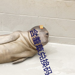 金年会 | 诚信至上金字招牌