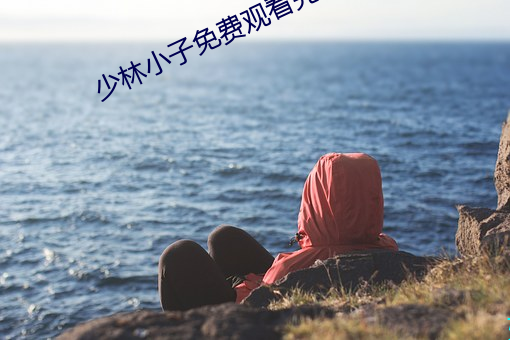 少林小子免(免)费观(觀)看(看)完(完)整版(版)