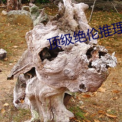 顶级绝伦推理直播