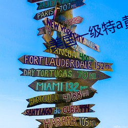 美國一級特a黃