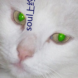 soul上约的暗号