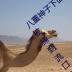 八(bā)重(zhòng)神子下面草出(chū)白色(sè)液体 原神八重神子+被捅到(dào)流口水的