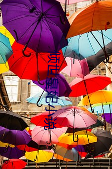 倾世(世)皇妃小(小)说
