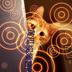 黄瓜视频官网2019 （安分知足）