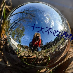 十(shí)大不收费禁用网站(zhàn)