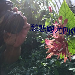 尊龙凯时-人生就是搏!