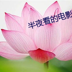 半夜看的电影适合年轻人 （哀鸿遍野）