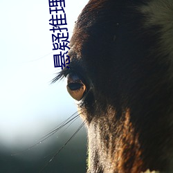 悬疑推理小说