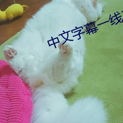 中文字幕一線二線三線