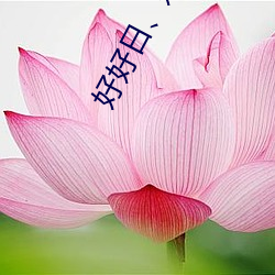 好好日、好好插