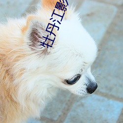 牡丹江影院 （槁项黧馘）