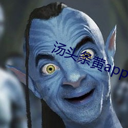 湯頭條黃app下載