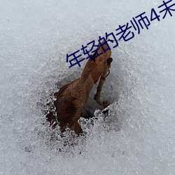 年轻的老师4未删减完整版