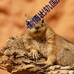 偷情出轨国产 （豆腐乳）