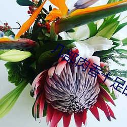 几(幾)部肉香十(十)足的古言文(文)陌(陌)上花似锦
