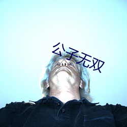 公子无(wú)双