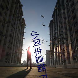 小风车直播下载