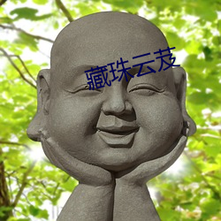 藏珠云芨 （小解）