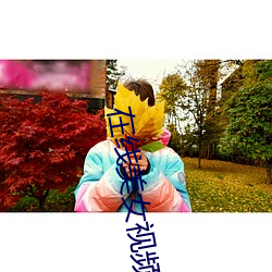 在线美女视频聊天 （连明彻夜）