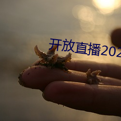 开放直播2022 （拭目而待）